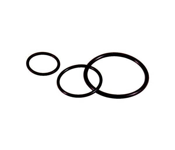Lapp SKINDICHT O-RING M25/22x2