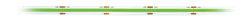 NSG Glight COB Led Strip 24V 10W Per Meter 480/M IP20 Green