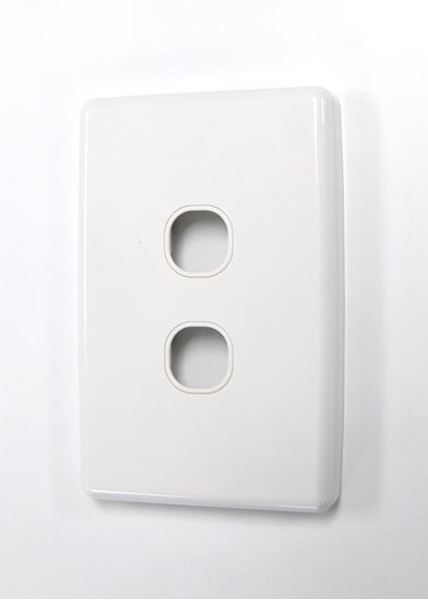 CDL Amdex Dual Port Face Plate