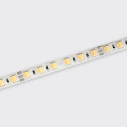 Bright Light 12W 24V Tuneable White Led Ribbon 2700-6500K IP65