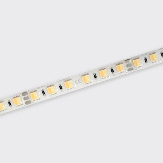 Bright Light 12W 24V Tuneable White Led Ribbon 2700-6500K IP65