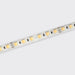 Bright Light 12W 24V Tuneable White Led Ribbon 2700-6500K IP65