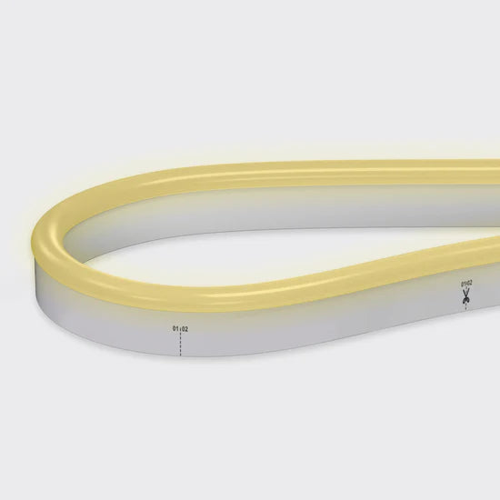 Bright Light 6W 24V Neon Classic White 2700K Sauna IP67 Silicone