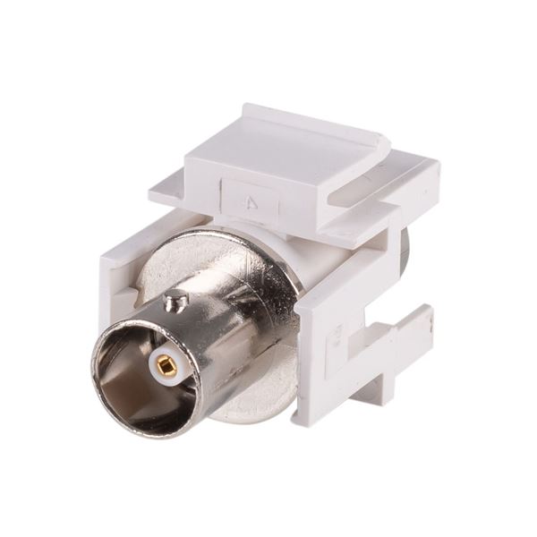 CDL Dynamix BNC Keystone Adapter