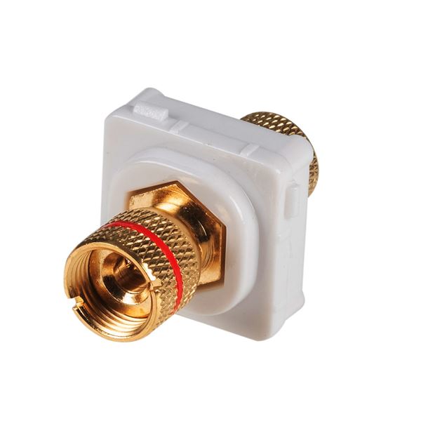 CDL Amdex Speaker Binding Post Gold Plated Red