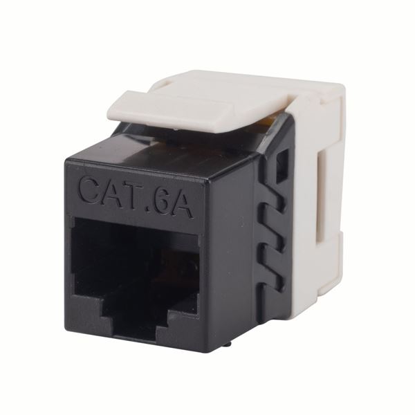 CDY DYNAMIX Slimline Cat6A UTP jack.Colour White