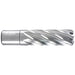 Trucut Sheffield Euroboor HSS Annular Cutter 19.5x55mm