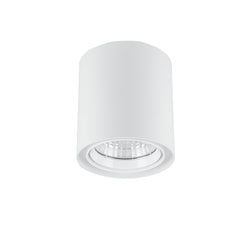 Halcyon LED SURF MT CEILING CYL C/W DIM DRI Pri: 240v 13W WW-WH