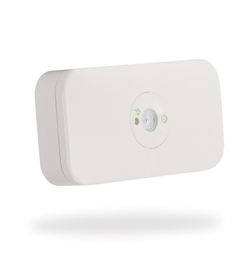 Clevertronics L10 Surface Mount WP Lifelight.CTP