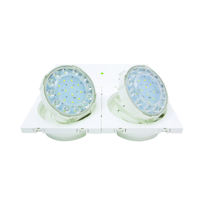 Eaton BEAMTECH Large 2x500Lumens CGL 10VA/9W 3 H 1000 LM