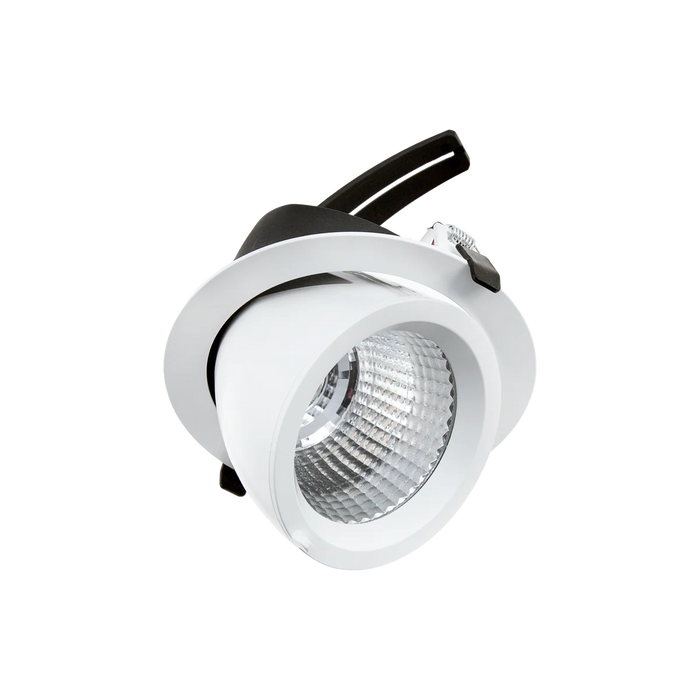 Halcyon Downlight 32W 4K 70deg 900mA 45deg Tilt 355deg Rotate White - Driver Sold Separately