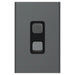 Iconic Styl Switch Vert 2G 20A 230/240V Silver Shadow