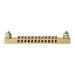 Teubel Earth bar 12 way two stud 6mm