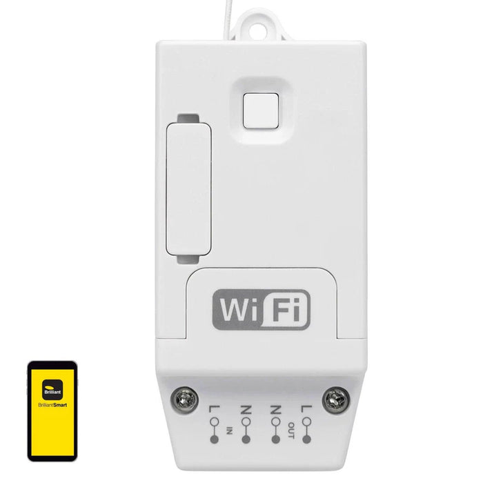 BRILLIANT SMART MODULE - LEADING EDGE DIMMER CONNECTOR