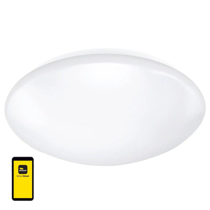 BRILLIANT SMART OYSTER 24W LED CCT DIMMABLE - CORDIA