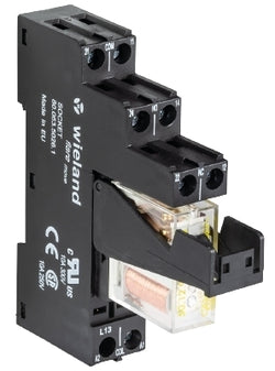 Wieland Safety Expansion RelaySNE 1  24Vdc