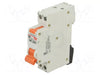 LAPP LS RKC 1P+N C10A 10mA RCBO Slim Size