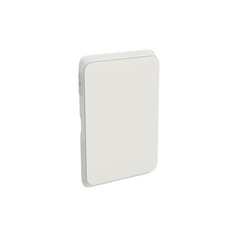 Iconic Skin Switch V/H Blank Plate CY