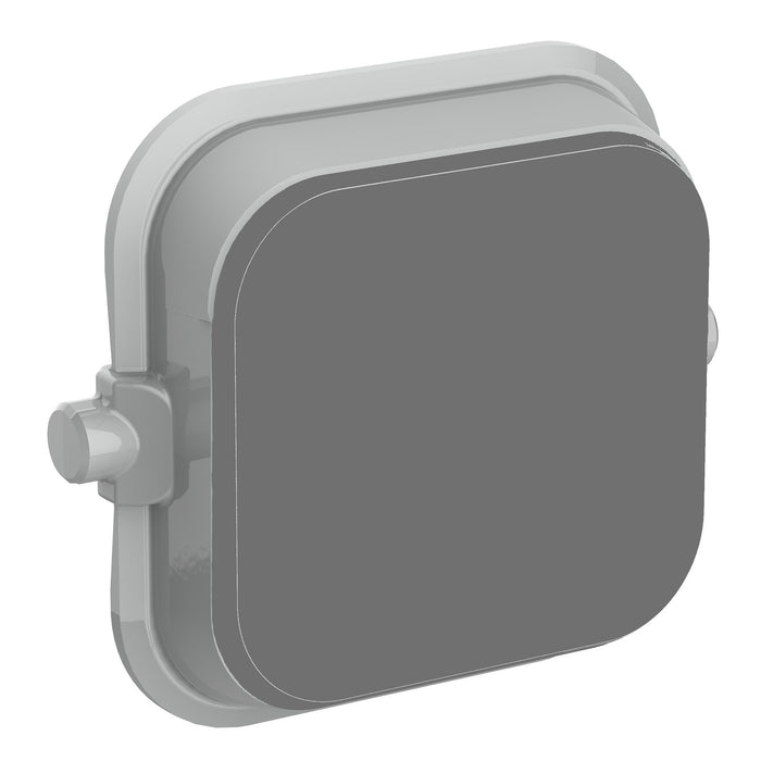Iconic Dolly Rocker BLANK  AN