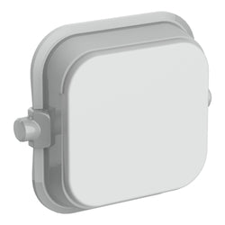 Iconic Dolly Rocker BLANK  CY