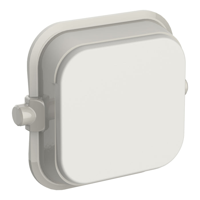 Iconic Dolly Rocker BLANK WY