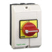 Schneider  25A MAIN EMERG SWIT ENCLO