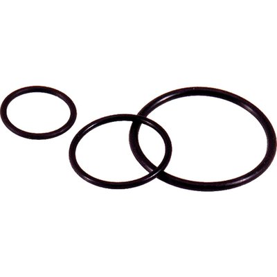 Lapp SKINDICHT O-RING PG 29/34 x2