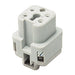 Walther-Werke Procon Female Insert - 4 Pole - Screw Connection - 4