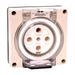 Iso Socket outlet 5 pin 40A 500V