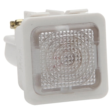 Pdl Neon illuminated Clear