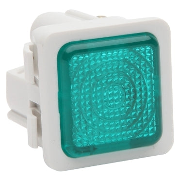 Pdl Neon illuminated Green