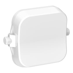 Iconic Dolly Rocker BLANK XW