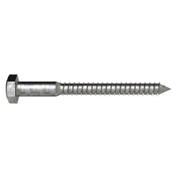 Mssmec CSM10X100 HDG COACH SCREW