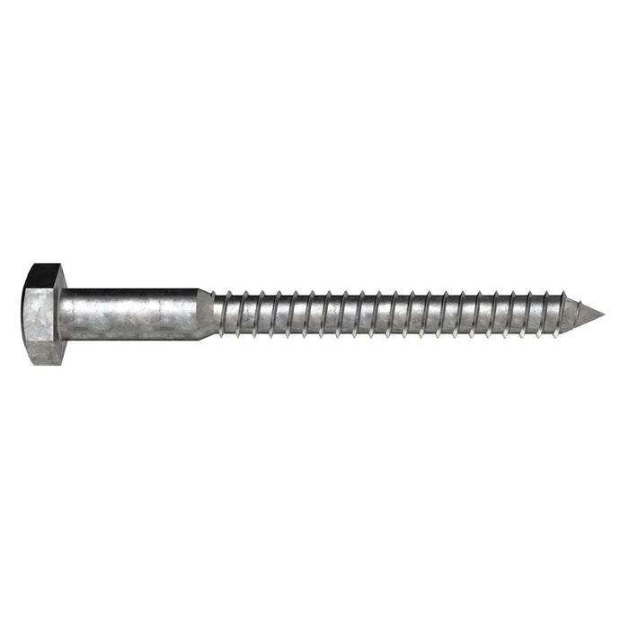 Mssmec CSM12X75 HDG COACH SCREW