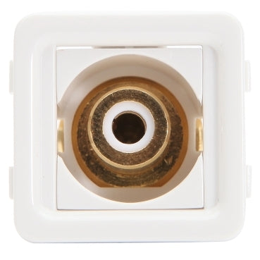 Pdl RCA WHITE SKT - F TYPE WH
