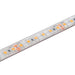 Halcyon IP67 LED TAPE HD (CUT 50mm) 10mm 5W 120/1M 24V DC-NW