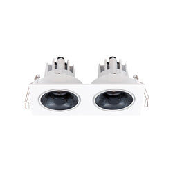 Halcyon LED REC TWIN TILT/ROT MINI C/WDIM DRI 2X9W 260mA CC WW97-WB
