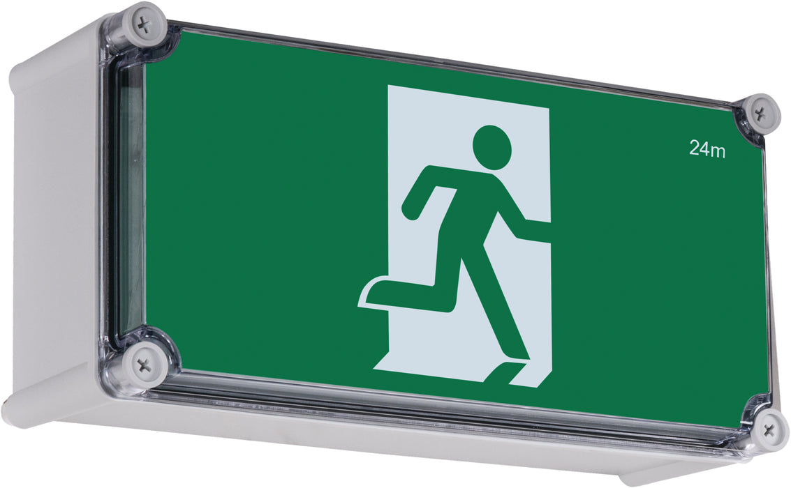 Clevertronics LP Weatherproof Exit, Single Sided, Wall mount, One Box Solution, Clevertest Plus