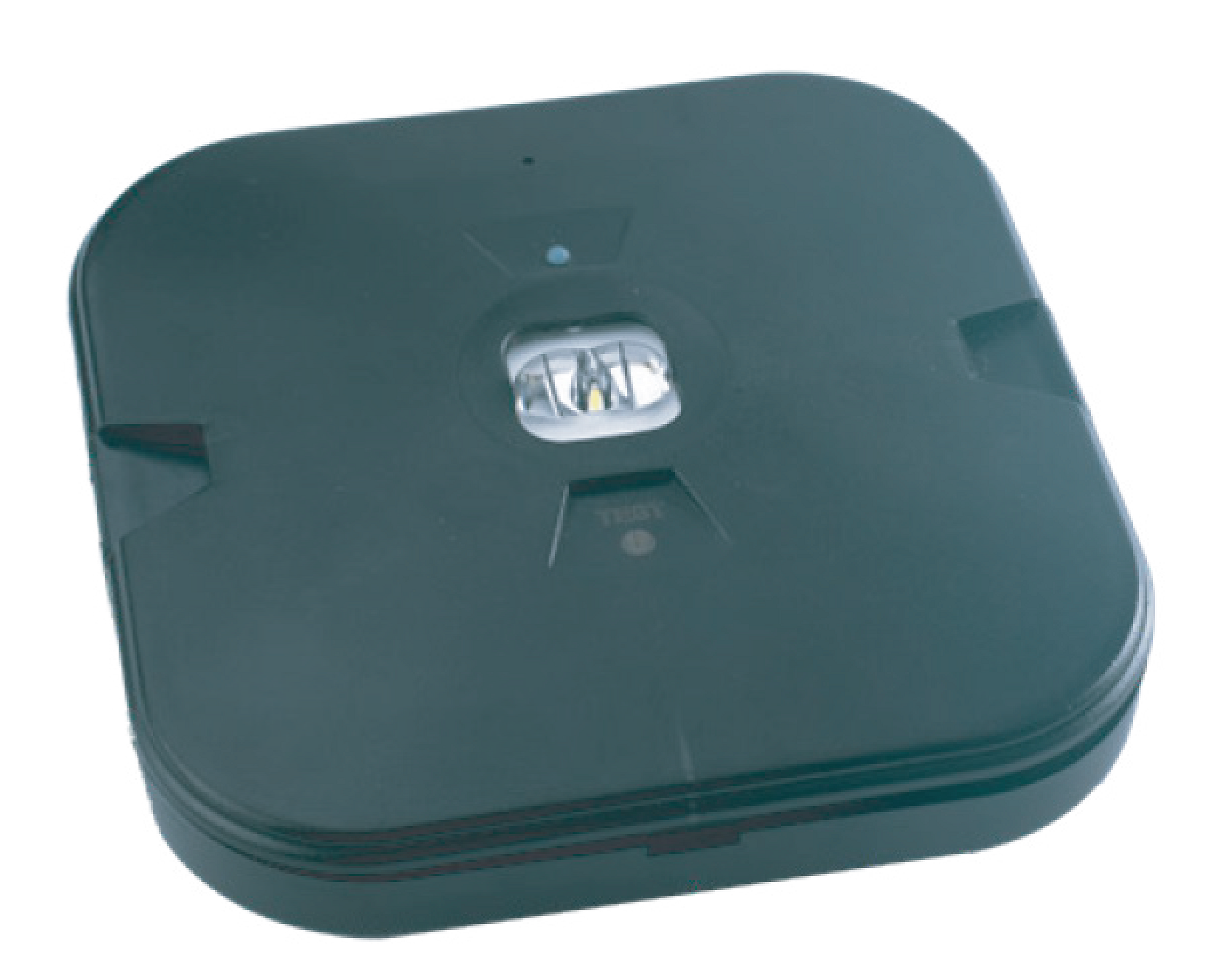 Stanilite Emergency Ecospitfire Surface 3W LiFePO4 Black — Scott Electrical