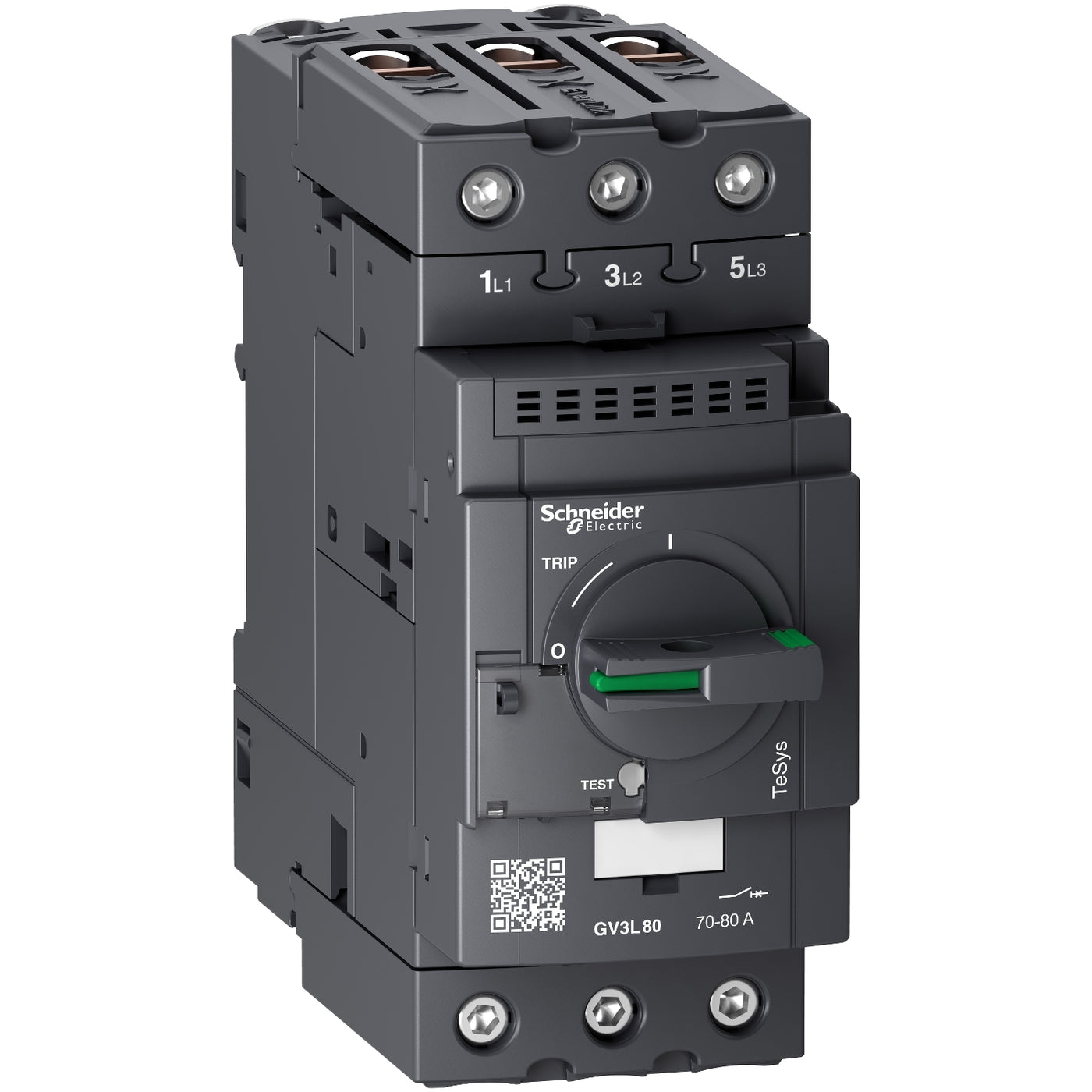 Schneider Motor circuit breaker, TeSys Deca, 3P, 80 A, magnetic, rotar ...
