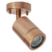 Prolux 240V 35W ADJUSTABLE RAW CO*
