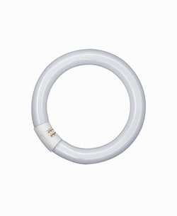 Osram CIRCULAR T9 L 22W/865 C G10Q 12X1 OSRAM TUBE LEDVANCE