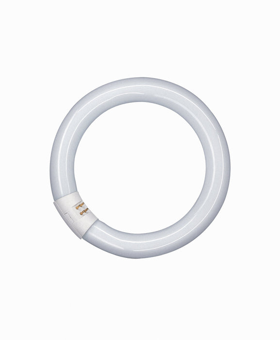 Osram CIRCULAR T9 L 22W/865 C G10Q 12X1 OSRAM TUBE LEDVANCE