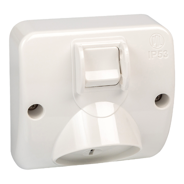 Pdl Sw socket 15A 1G IP53 WP